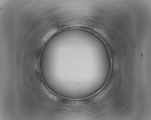 X0000060801273200511241901