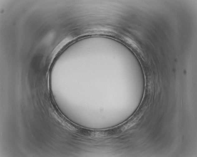 X0000060801275200511241901