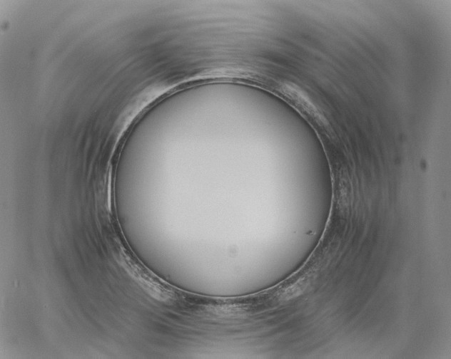 X0000060801276200511241901