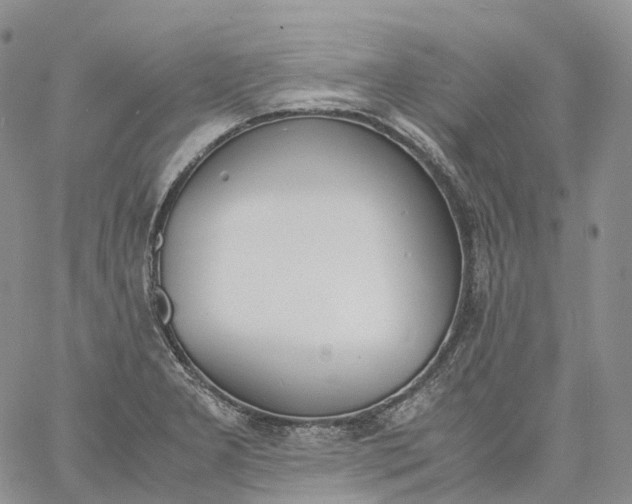 X0000060801277200511241901