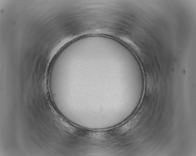 X0000060801278200511241901