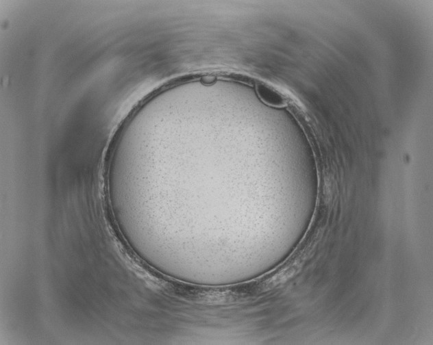 X0000060801279200511241901