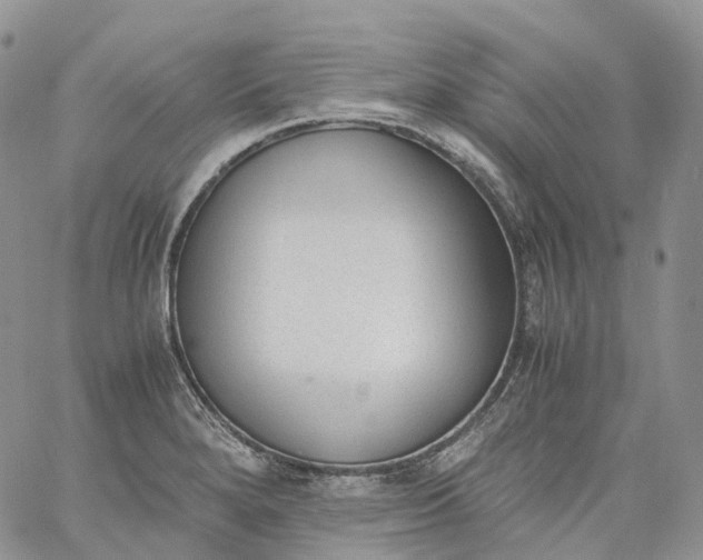 X0000060801280200511241901