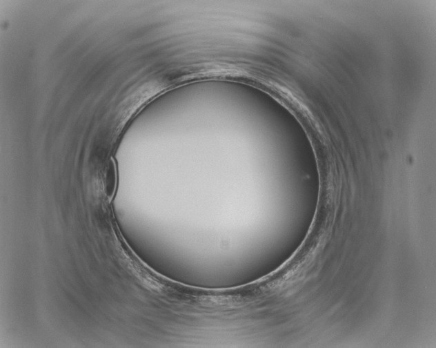 X0000060801281200511241901