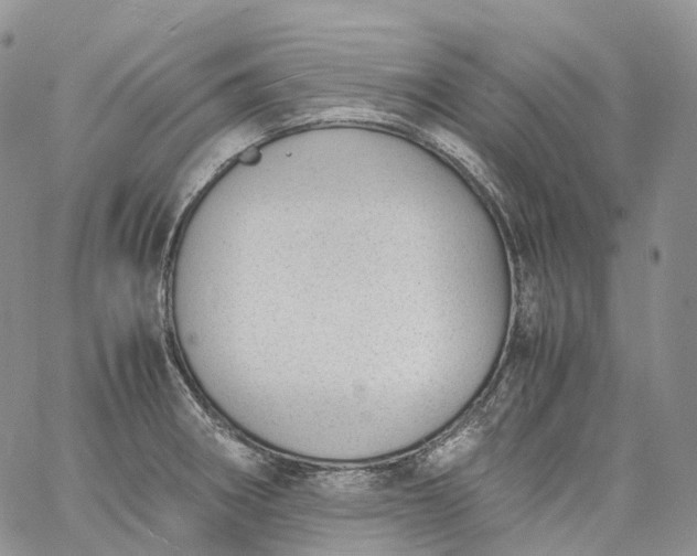 X0000060801282200511241901