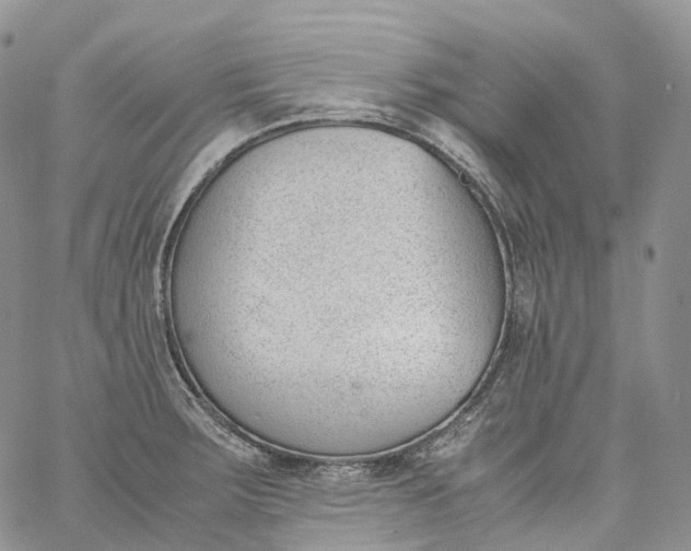 X0000060801283200511241901