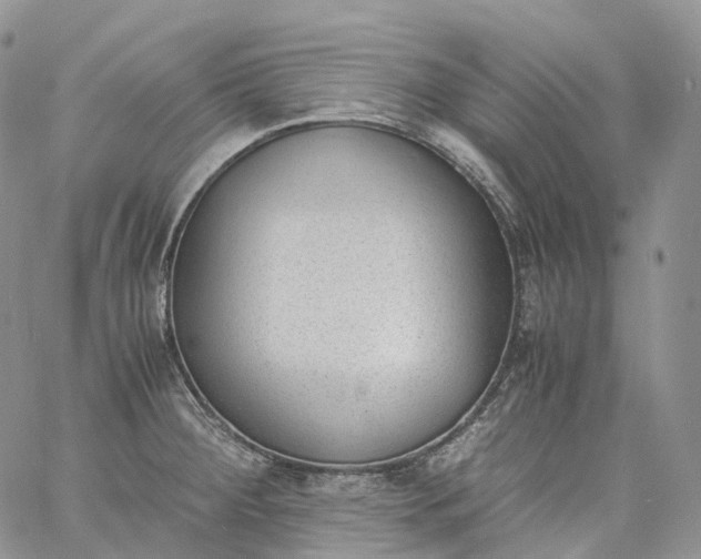 X0000060801284200511241901