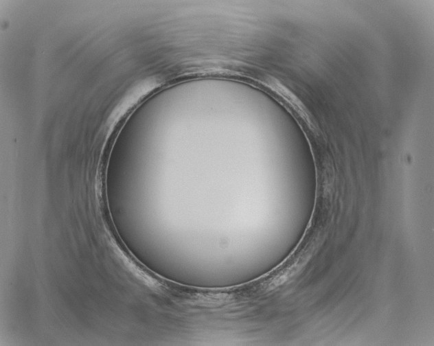 X0000060801285200511241901