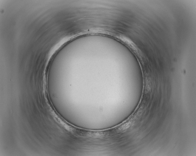 X0000060801286200511241901