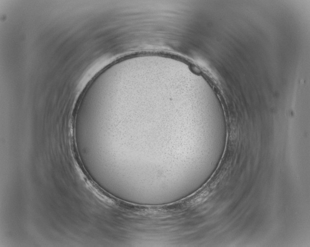 X0000060801287200511241901