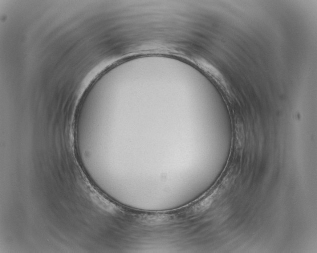 X0000060801288200511241901