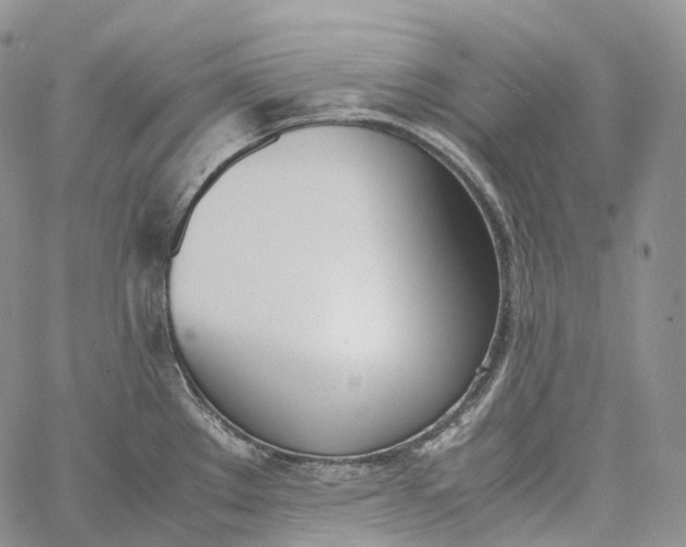 X0000060801289200511241901