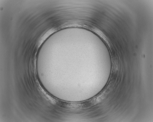 X0000060801290200511241901