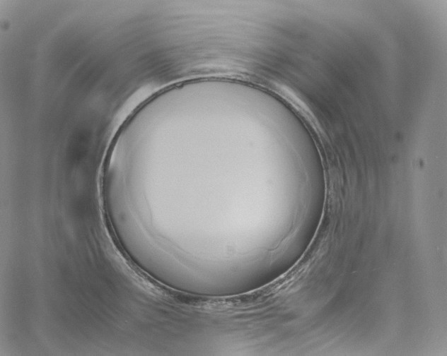 X0000060801291200511241901