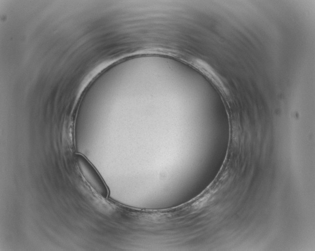 X0000060801292200511241901