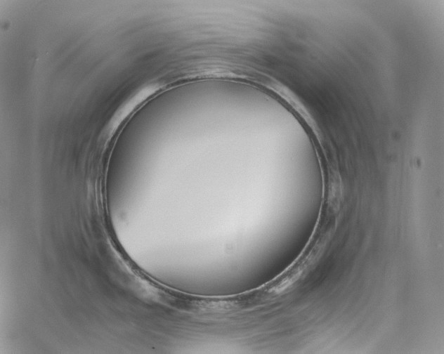 X0000060801293200511241901