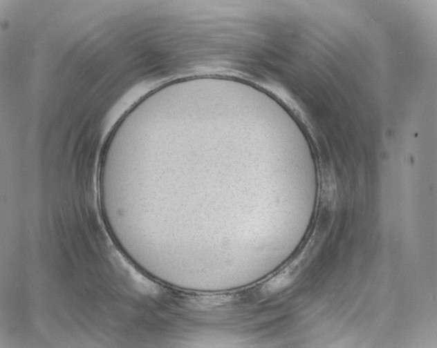 X0000060801294200511241901