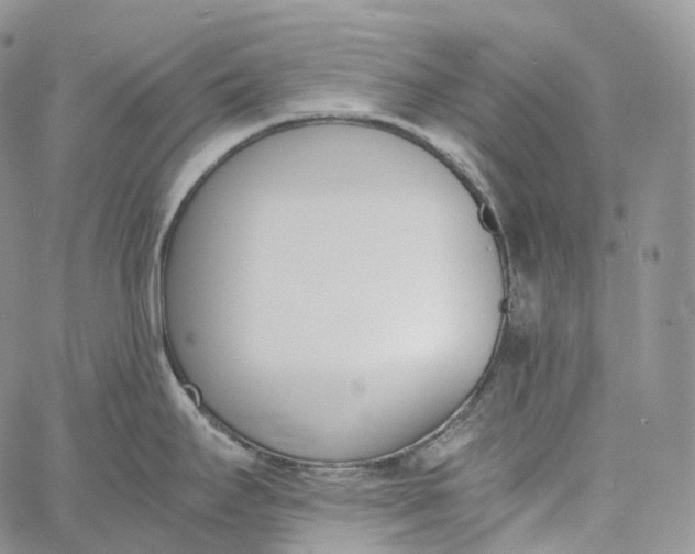 X0000060801295200511241901