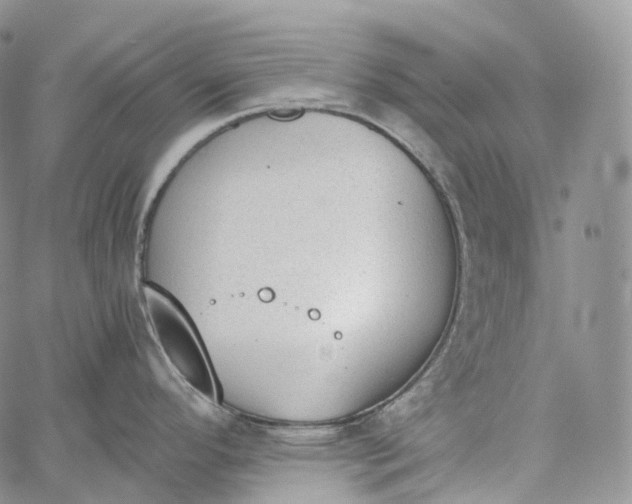 X0000060801296200511241901