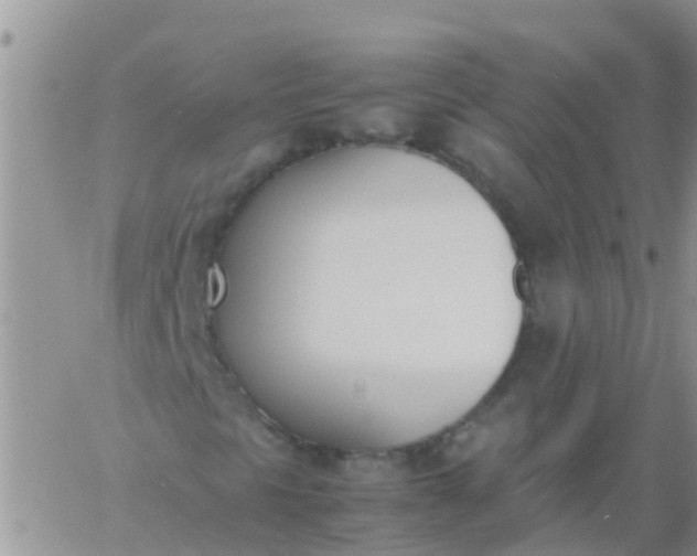 X0000060801297200511241900