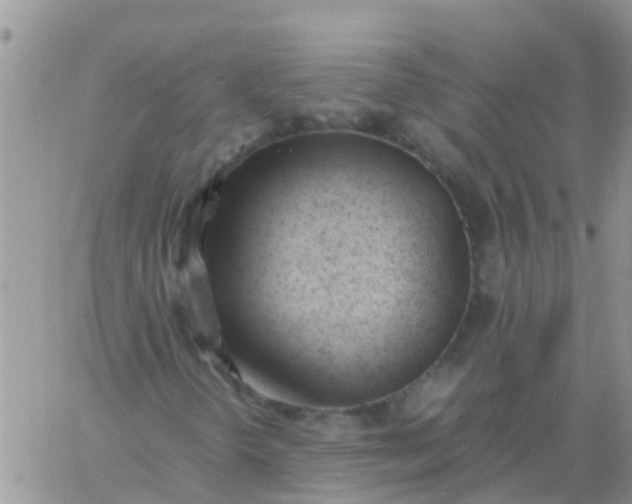 X0000060801298200511241900