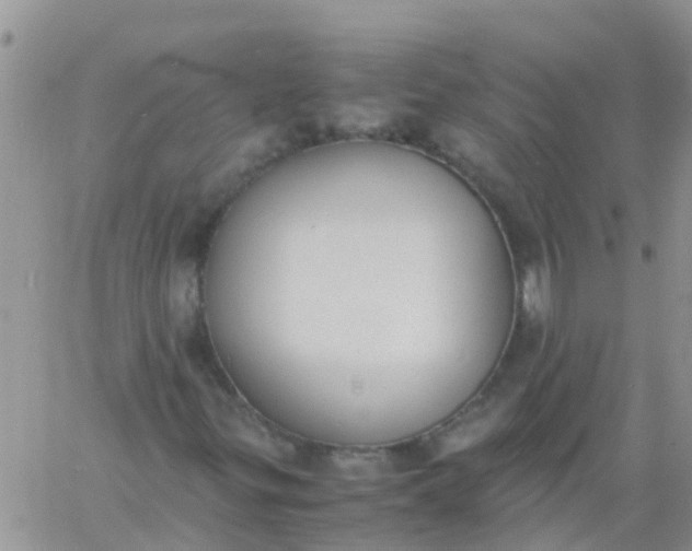 X0000060801299200511241900