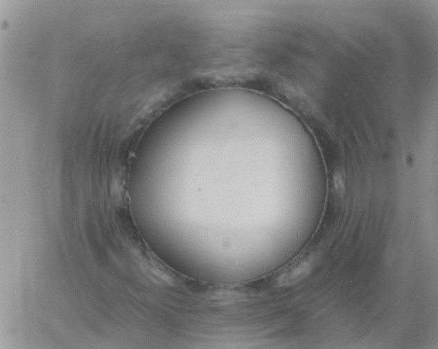 X0000060801300200511241900