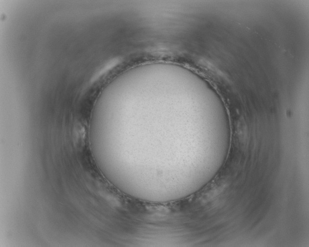 X0000060801302200511241900