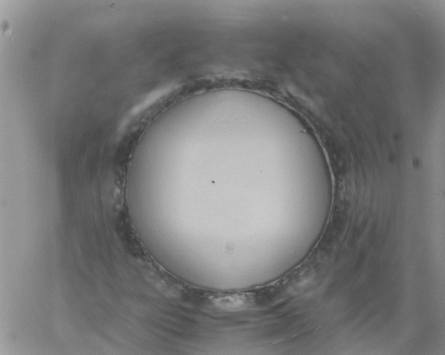 X0000060801303200511241900