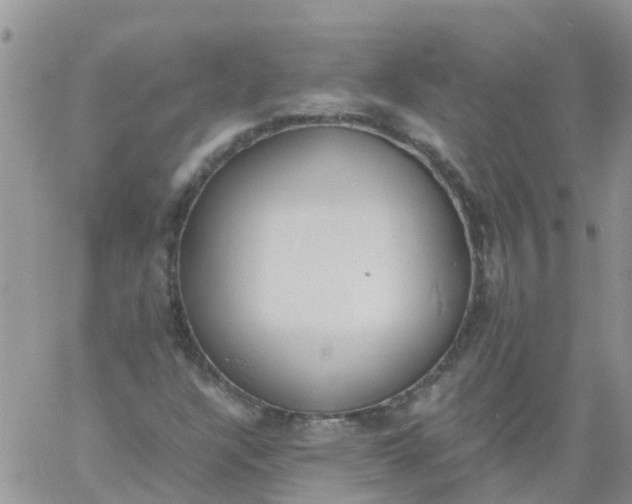 X0000060801304200511241900