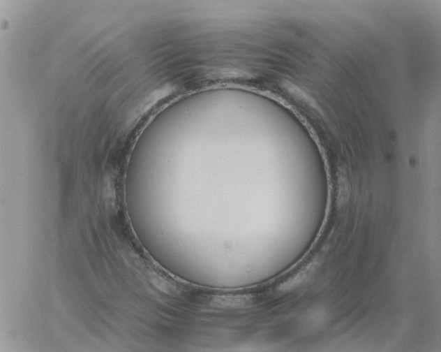 X0000060801305200511241900