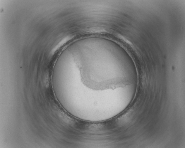 X0000060801306200511241900