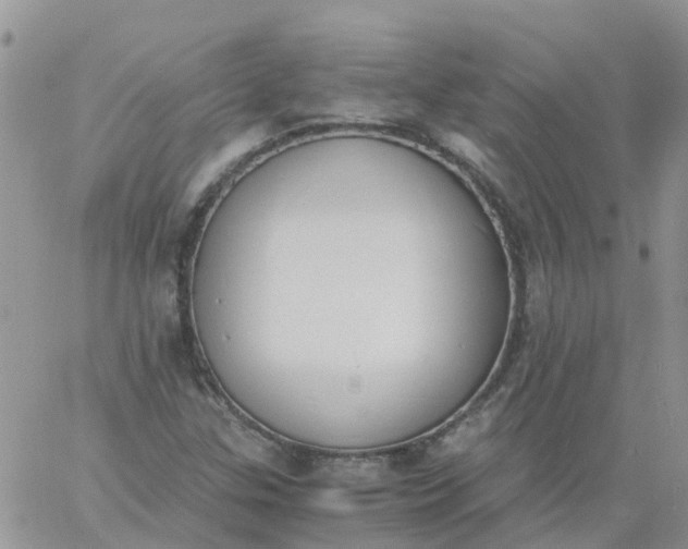 X0000060801307200511241900