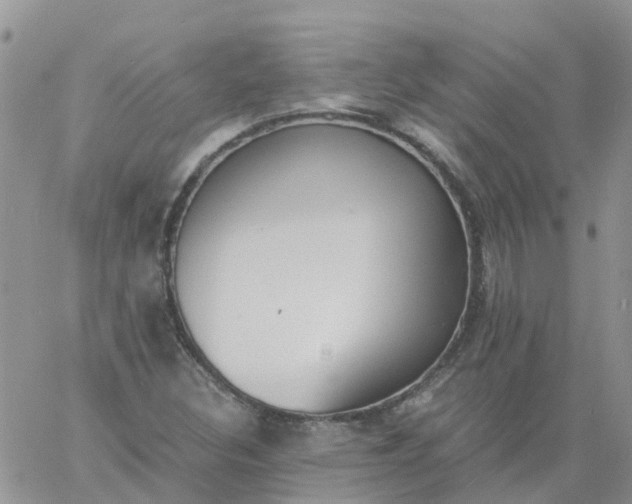 X0000060801308200511241900