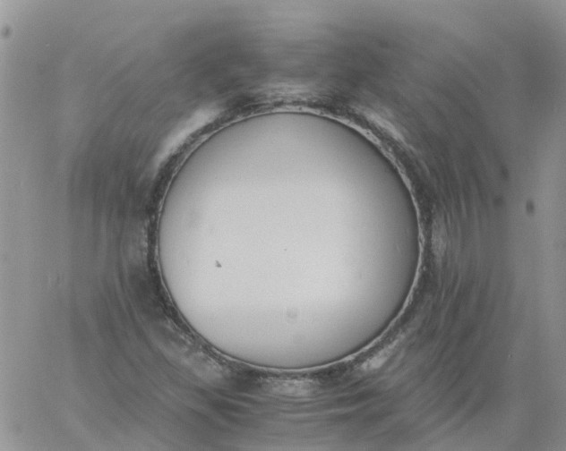 X0000060801309200511241900