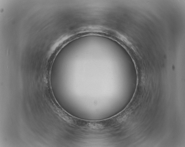 X0000060801312200511241900