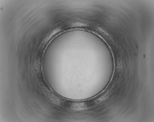 X0000060801313200511241900