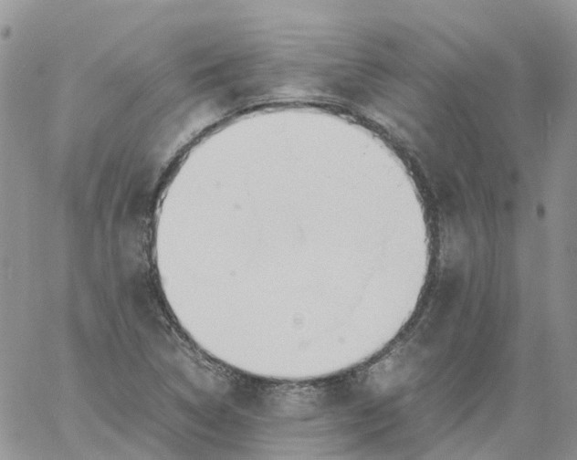 X0000060801314200511241900