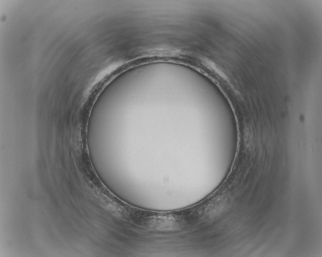 X0000060801315200511241900