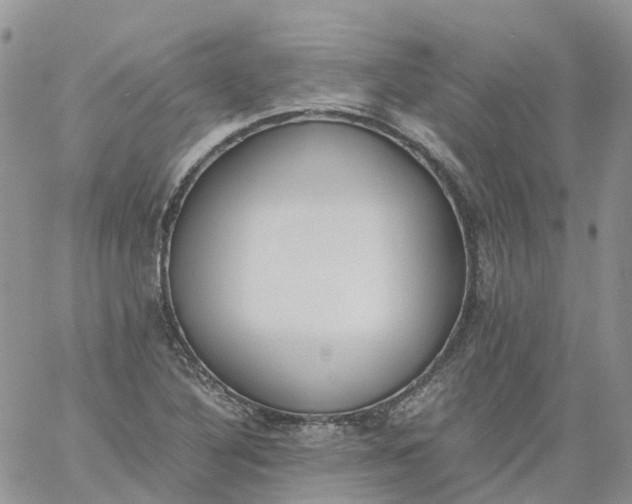 X0000060801316200511241900