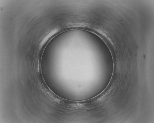 X0000060801317200511241900