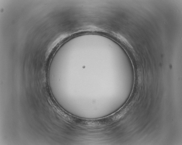 X0000060801318200511241900