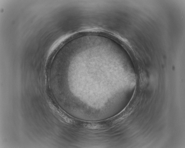 X0000060801319200511241900