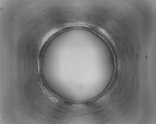 X0000060801320200511241900