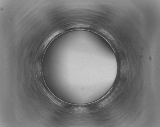 X0000060801321200511241900