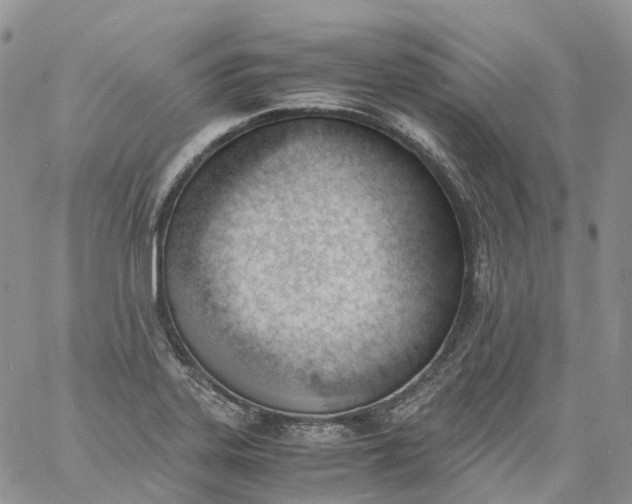 X0000060801323200511241900