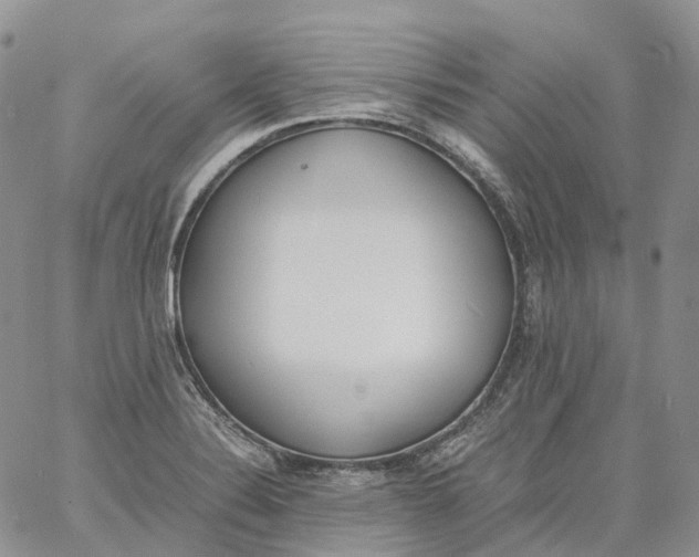 X0000060801324200511241900