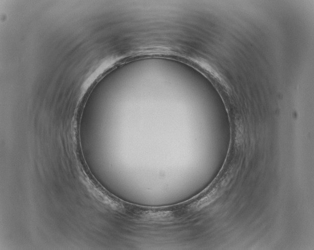 X0000060801325200511241900