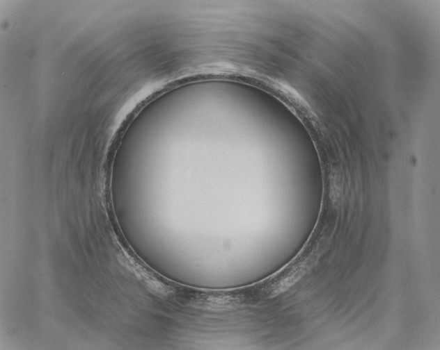 X0000060801326200511241900