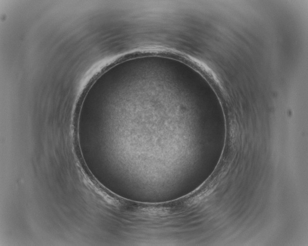 X0000060801327200511241900